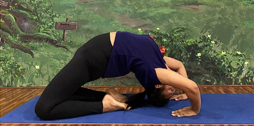 Does Yoga Really Calm Anxiety or Is It Just Stretching?